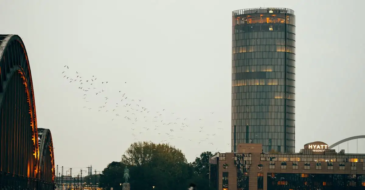 Immobilienfirma köln